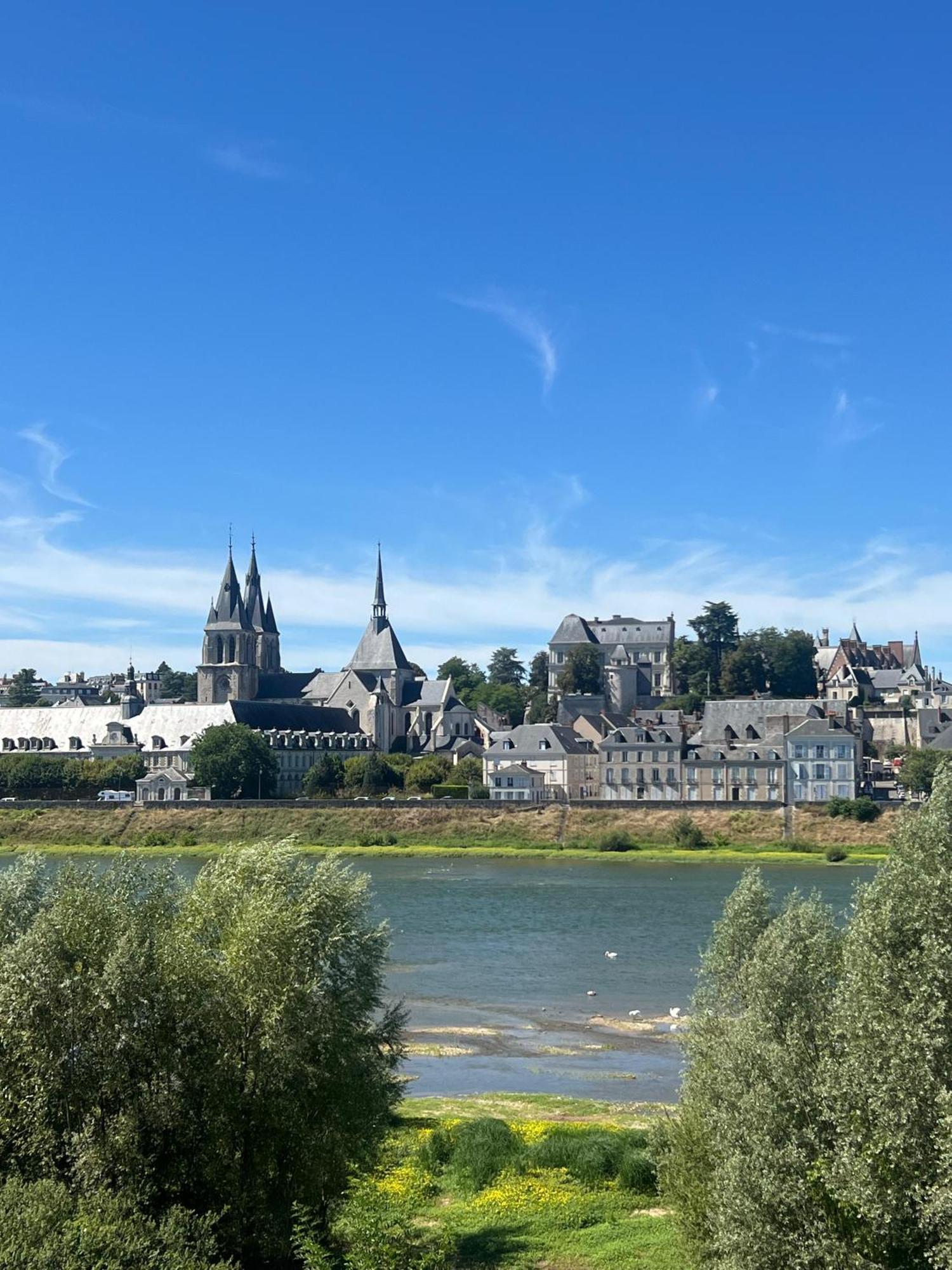 ブロワQuai De La Loireアパートメント エクステリア 写真